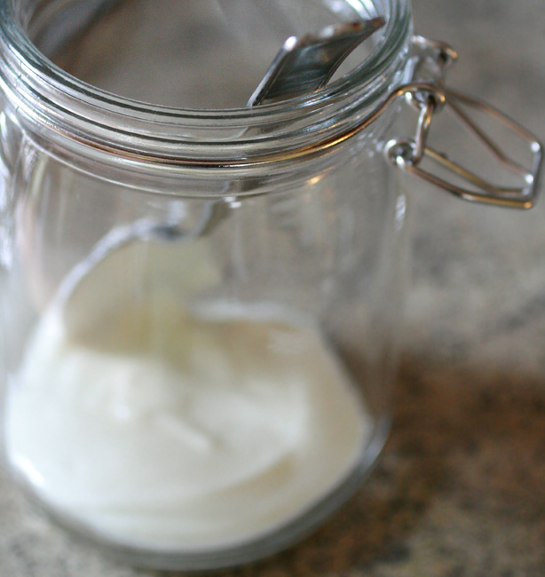 yogurt in casa facilissimo