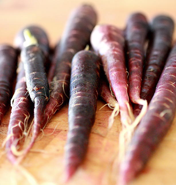 ricette con le carote viola