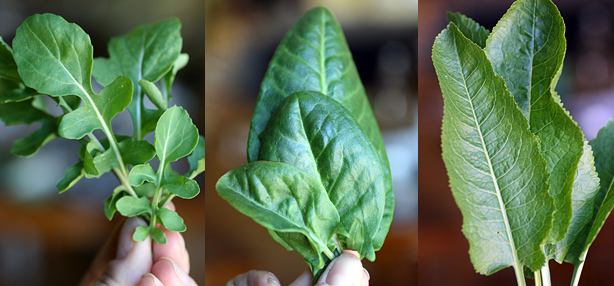 insalata verde mista