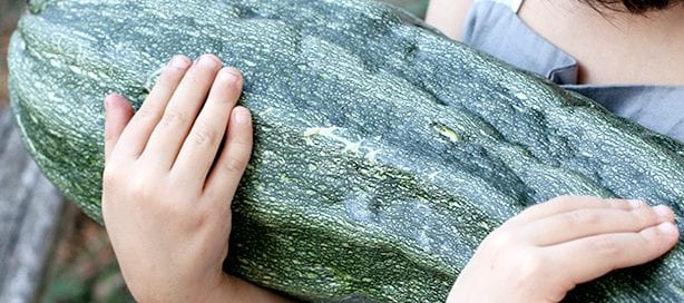associazione il pasto nudo