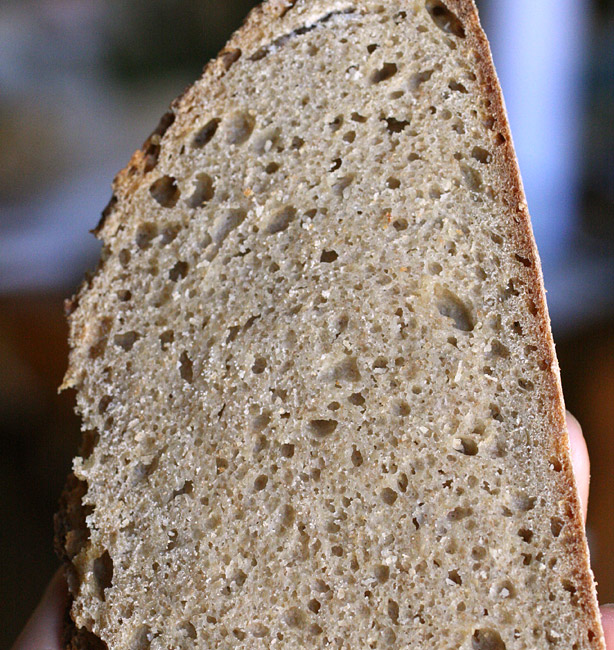fetta pane grano duro