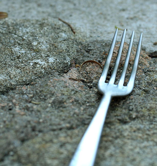 il richiamo della forchetta