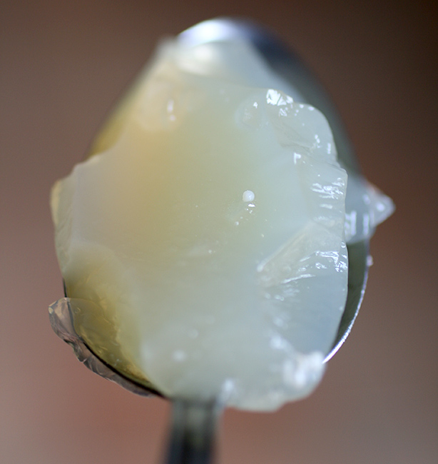 gelatina di brodo