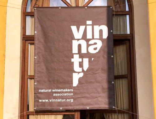 VinNatur 2017: lo stato dell’arte sul naturale in Italia